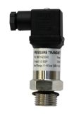 NP620 Programmable Range Pressure Sensor 0 to 40 Bar