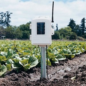 Wireless Leaf & Soil Moisture/Temperature Station